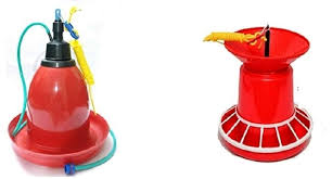 Plastic Poultry Equipment